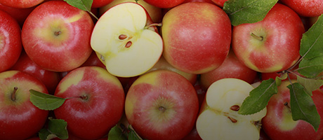 Apple Cold Storage Rental