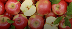 Apple Cold Storage Rental