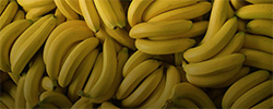 Renting a Banana Cold Storage Space