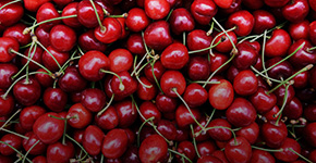 Renting Cherry and Plum Cold Storage Space