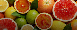 Renting Citrus Cold Storage Space
