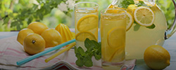 Renting Concentrate and Essence Cold Storage Space