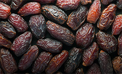 Date Cold Storage Rental