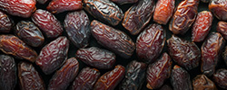 Date Cold Storage Rental